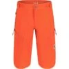 Maloja PinM. Enduro Shorts - Glow 8046